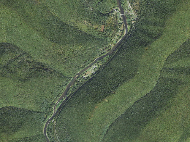 Aerial image of Tiadaghton State Forest roadside campsite TF 003 (Tomb Flats)