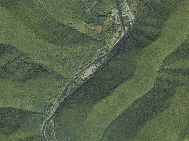 Aerial image of Tiadaghton State Forest roadside campsite TF 004 (Tomb Flats)