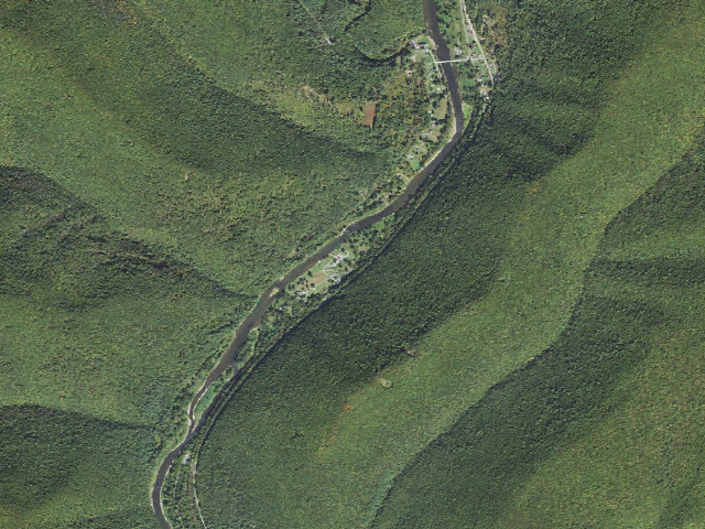 Aerial image of Tiadaghton State Forest roadside campsite TF 005 (Tomb Flats)