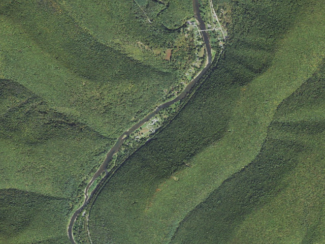 Aerial image of Tiadaghton State Forest roadside campsite TF 006 (Tomb Flats)