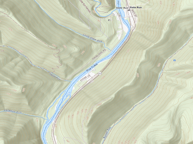 USGS topographic map of Tiadaghton State Forest roadside campsite TF 009 (Tomb Flats)