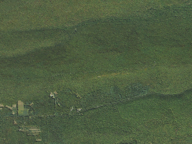 Aerial image of Tiadaghton State Forest roadside campsite WR 001