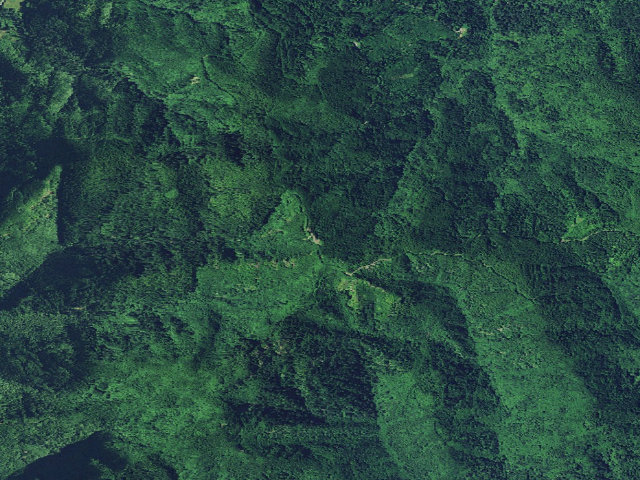 Aerial image of Tillamook State Forest