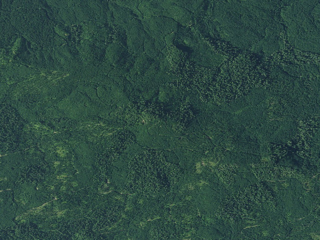 Aerial image of Timber Butte Cabin