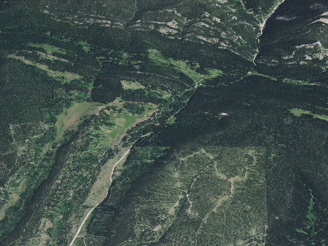 Aerial image of Timber Cr Dispersed