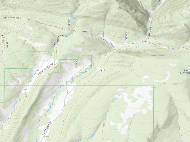 USGS topographic map of Timber Cr Dispersed
