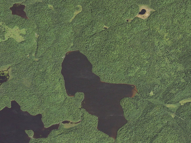 Aerial image of Timber Lake Site 1