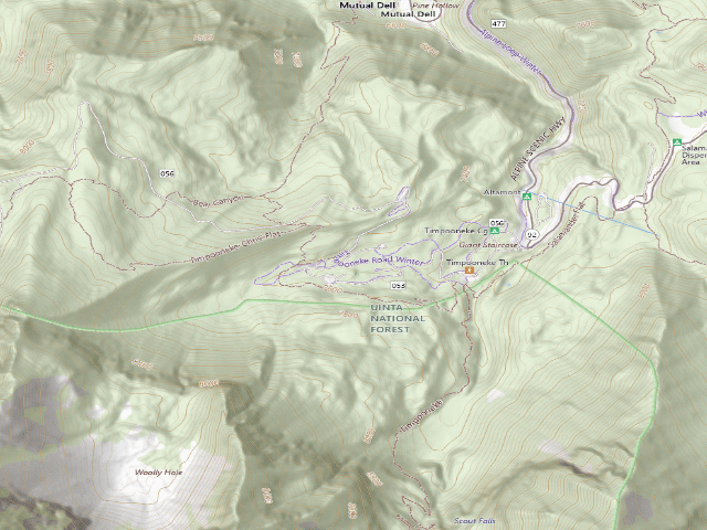 USGS topographic map of Timpooneke Campground