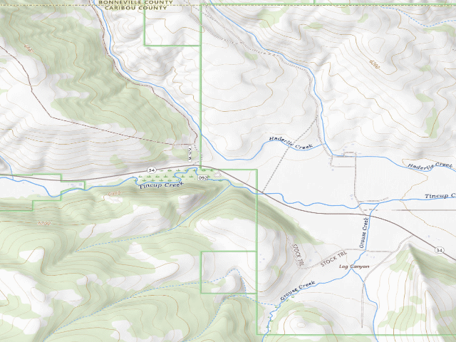 USGS topographic map of Tincup
