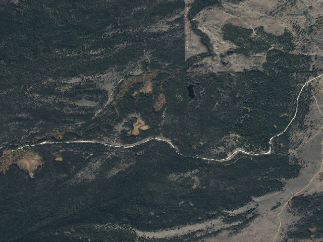 Aerial image of Tiny Red Standing