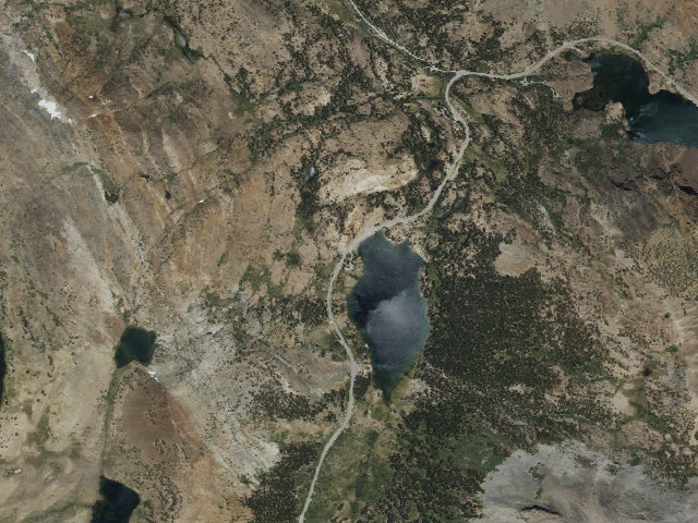 Aerial image of Tioga Lake Campground