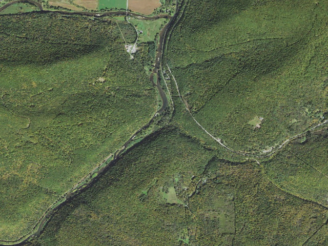 Aerial image of Tioga State Forest primitive campsite Darling Run 006