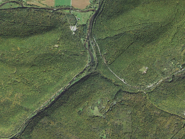 Aerial image of Tioga State Forest primitive campsite Darling Run 001