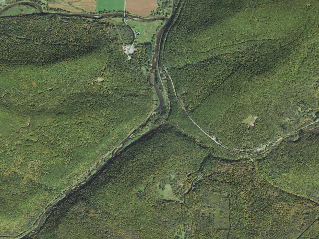 Aerial image of Tioga State Forest primitive campsite Darling Run 002