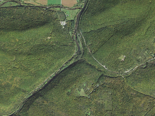 Aerial image of Tioga State Forest primitive campsite Darling Run 005