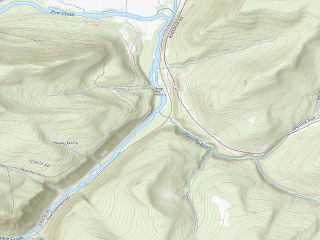 USGS topographic map of Tioga State Forest primitive campsite Darling Run 005