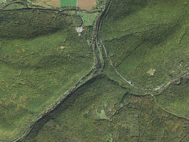 Aerial image of Tioga State Forest primitive campsite Darling Run 007