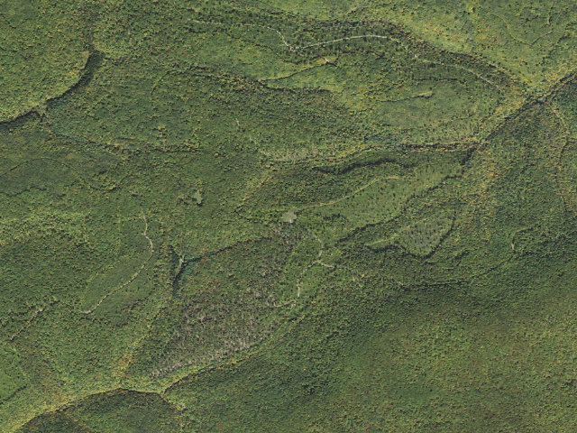 Aerial image of Tioga State Forest roadside campsite 002 Bear Run Gas Well