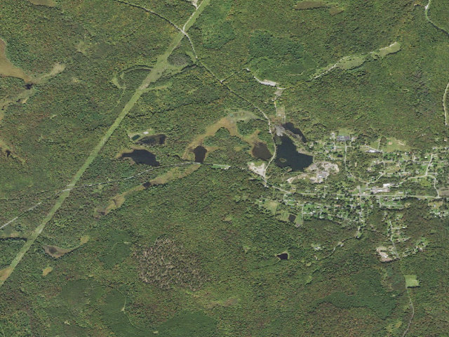 Aerial image of Tioga State Forest roadside campsite 004 Running Dog
