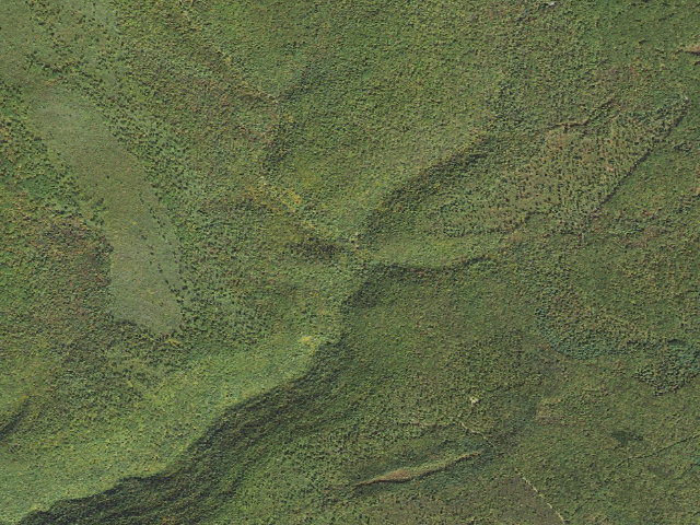Aerial image of Tioga State Forest roadside campsite 014 Mine Hole - Lloyd Trail