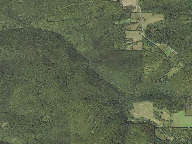 Aerial image of Tioga State Forest roadside campsite 018 Big Run North