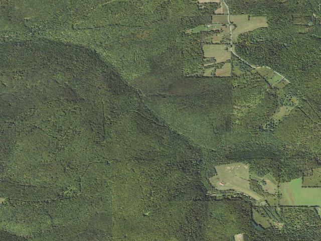 Aerial image of Tioga State Forest roadside campsite 019 Big Run South