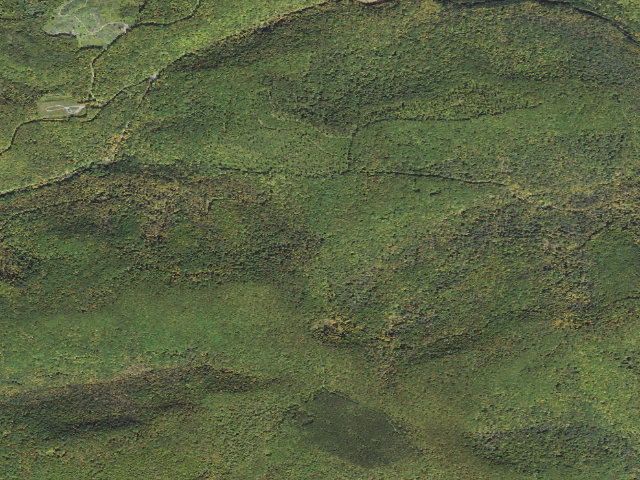 Aerial image of Tioga State Forest roadside campsite 058 Mill Run Road