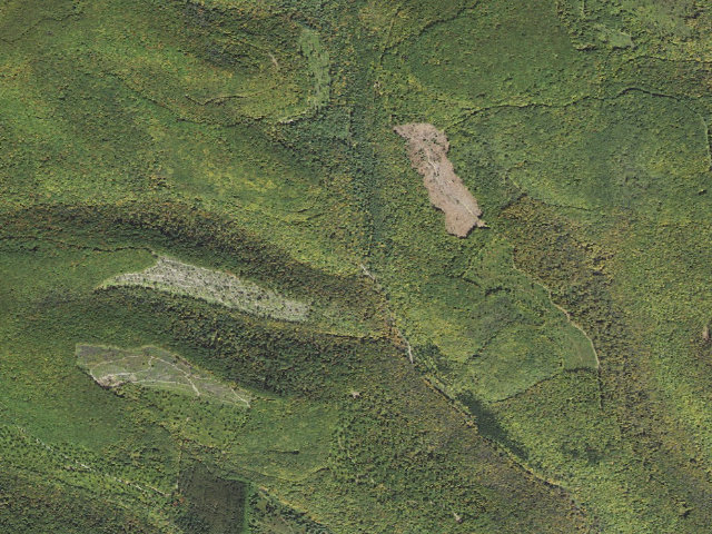 Aerial image of Tioga State Forest roadside campsite 060 White House