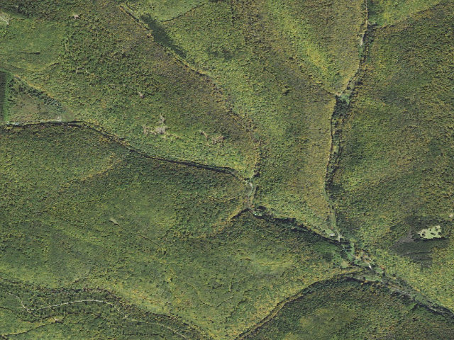 Aerial image of Tioga State Forest roadside campsite 061 Buck Run