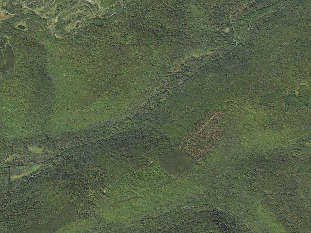 Aerial image of Tioga State Forest roadside campsite 063 Landrus Road Babb Creek Trail