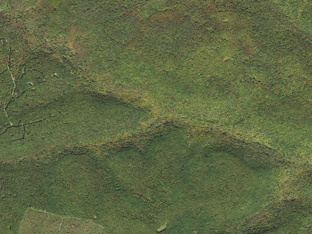 Aerial image of Tioga State Forest roadside campsite 064 Baker Branch