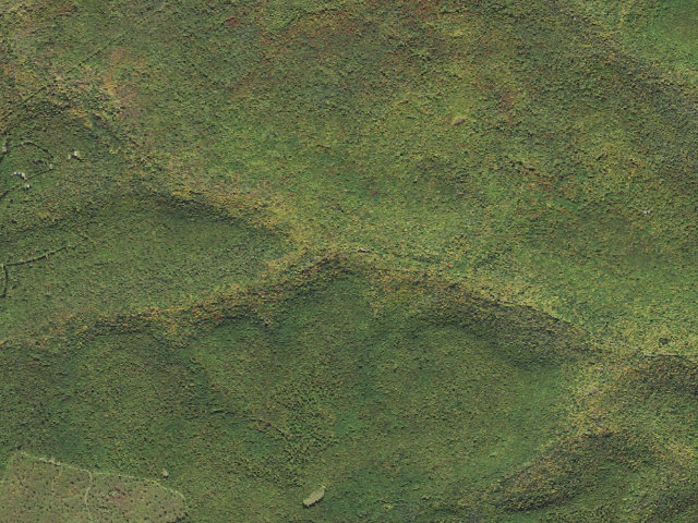 Aerial image of Tioga State Forest roadside campsite 065 Left Asaph