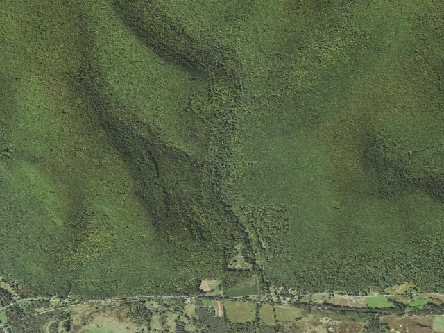 Aerial image of Tioga State Forest roadside campsite 066 Canada Run