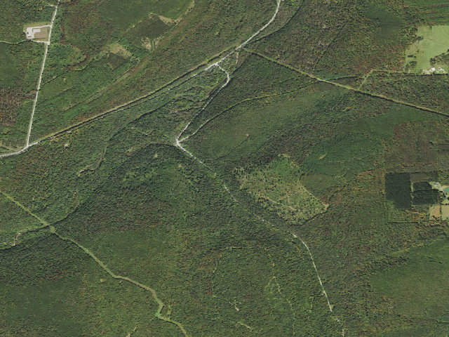 Aerial image of Tioga State Forest roadside campsite 069 Coon Creek