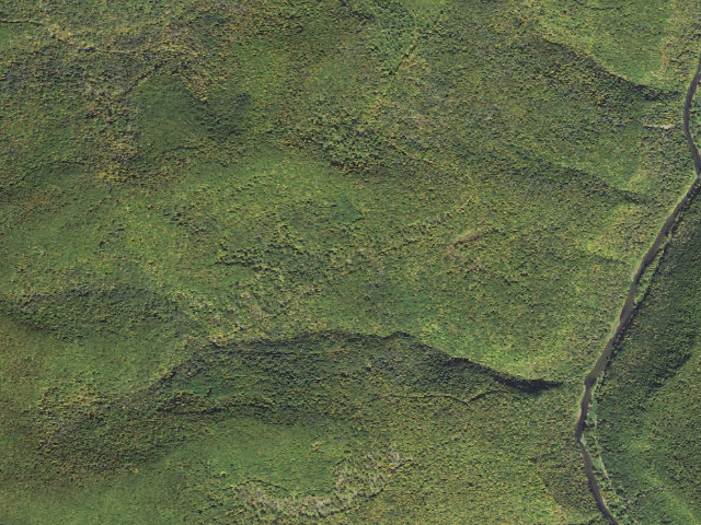 Aerial image of Tioga State Forest roadside campsite 074 Monks Road