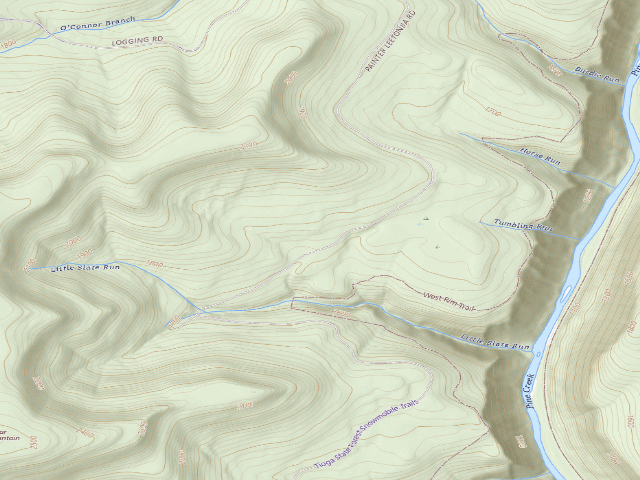 USGS topographic map of Tioga State Forest roadside campsite 074 Monks Road