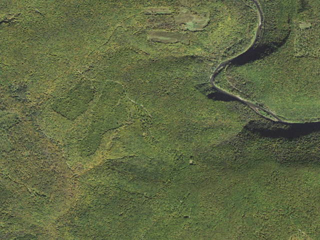 Aerial image of Tioga State Forest roadside campsite 079 Spinning Wheel West Rim Gaswell