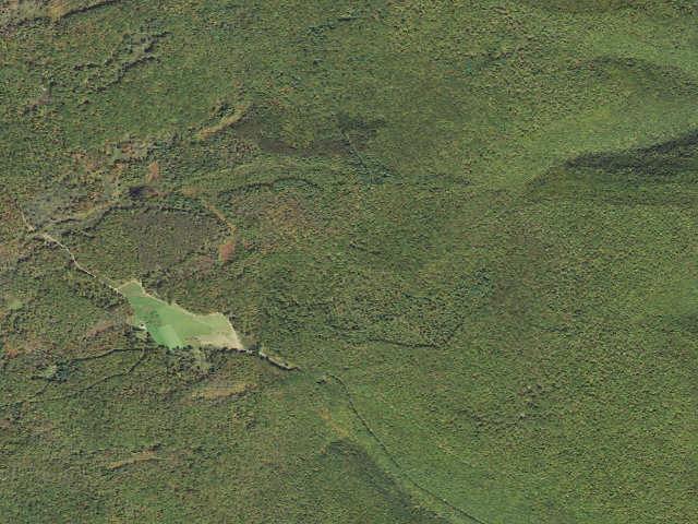 Aerial image of Tioga State Forest roadside campsite Gamble Run 013