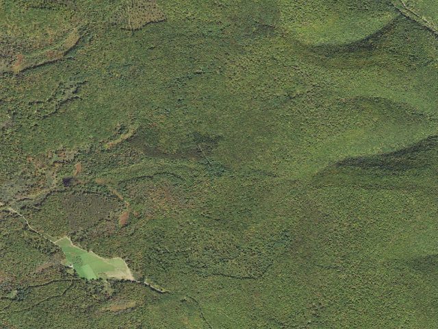 Aerial image of Tioga State Forest roadside campsite Gamble Run 012