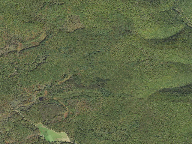 Aerial image of Tioga State Forest roadside campsite Gamble Run 010