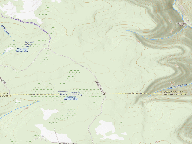 USGS topographic map of Tioga State Forest roadside campsite Gamble Run 010