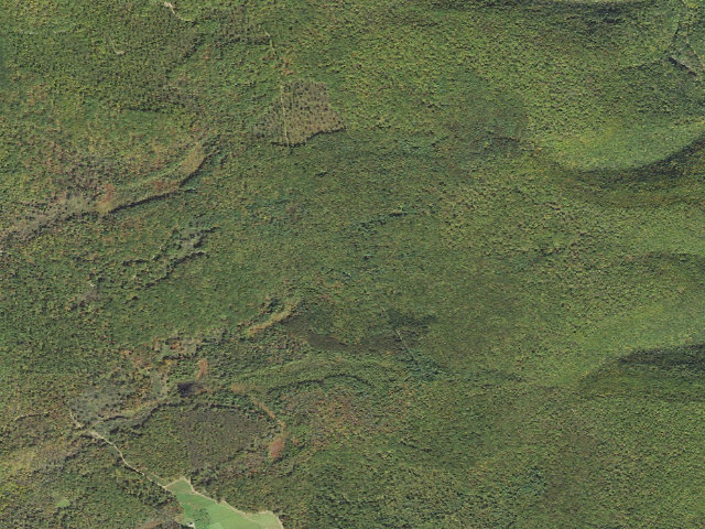 Aerial image of Tioga State Forest roadside campsite Gamble Run 011