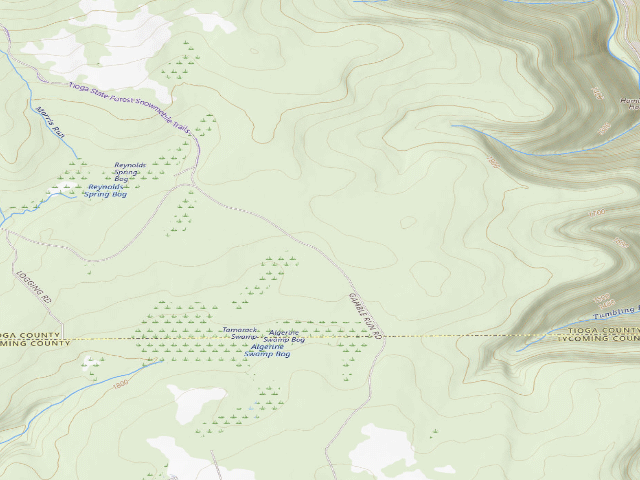 USGS topographic map of Tioga State Forest roadside campsite Gamble Run 011