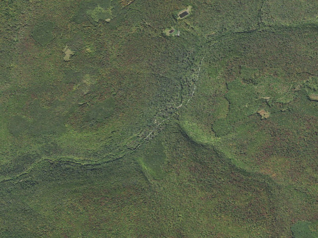 Aerial image of Tioga State Forest roadside campsite Landrus Foundations 843