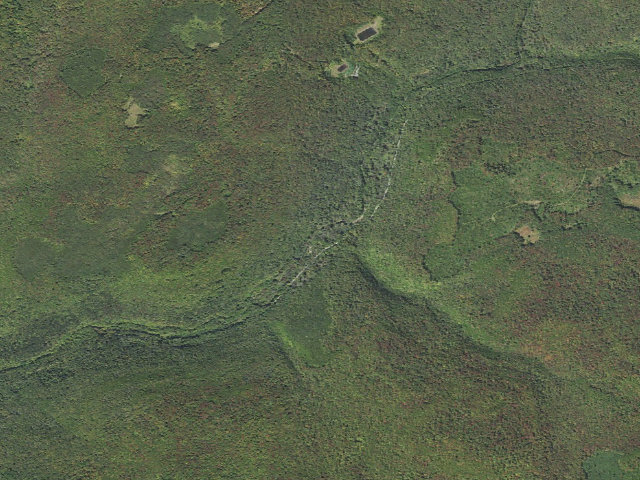 Aerial image of Tioga State Forest roadside campsite Landrus Foundations 841