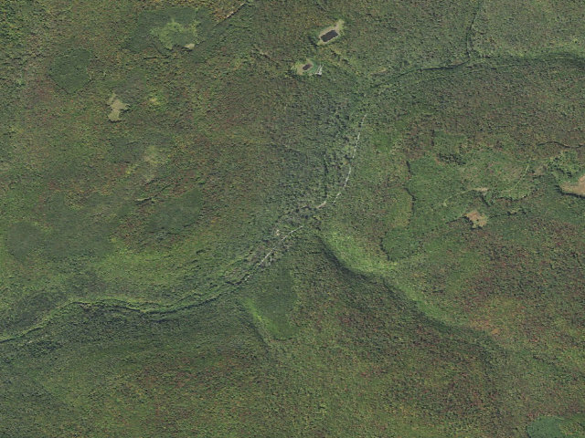 Aerial image of Tioga State Forest roadside campsite Landrus Foundations 842