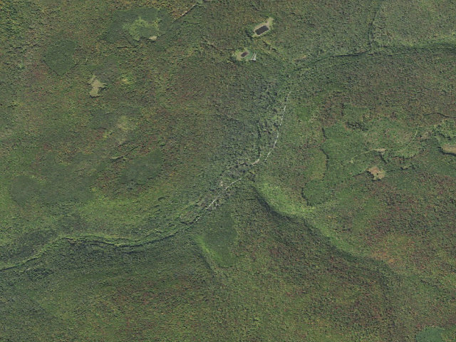 Aerial image of Tioga State Forest roadside campsite Landrus Foundations 844