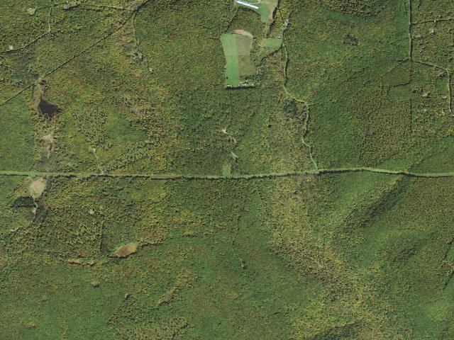 Aerial image of Tioga State Forest roadside campsite Left Strait Equestrian 751