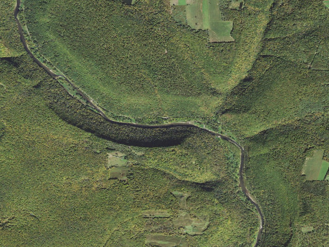 Aerial image of Tioga State Forest roadside campsite Tiadaghton 001