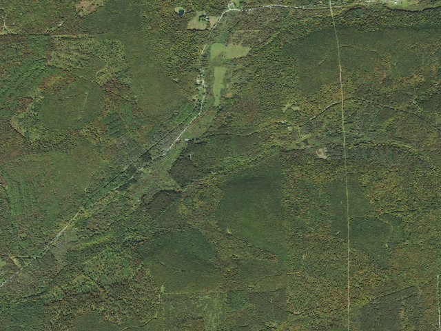 Aerial image of Tioga State Forest roadside campsite Twin Pipes Foundations 851